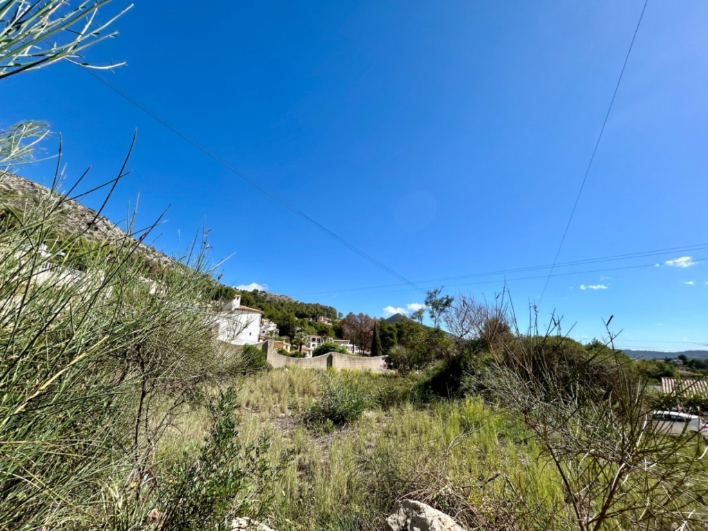 plot in Alcalalí