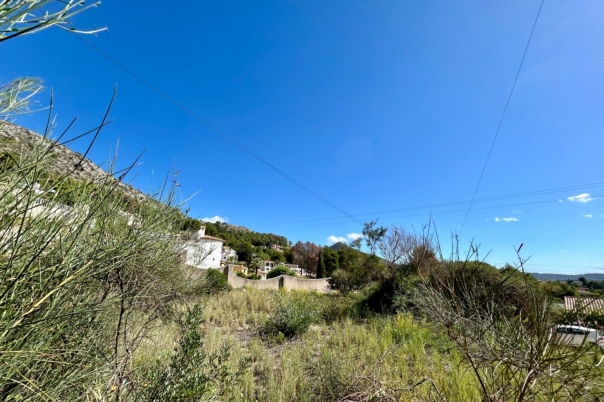 plot in Alcalalí