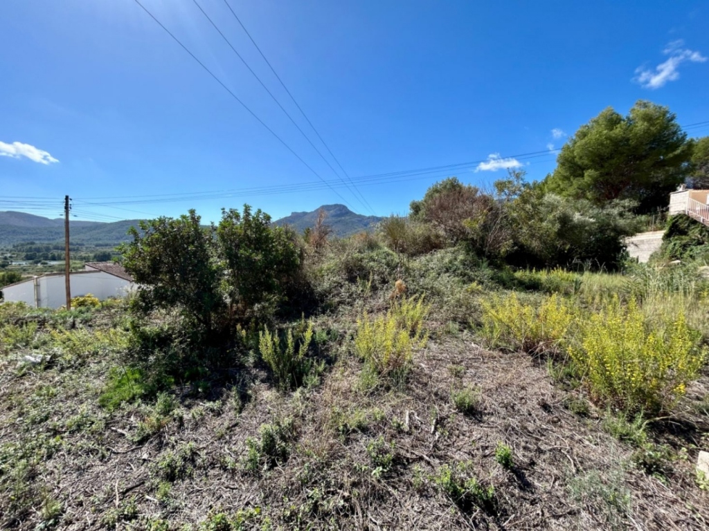 plot in Alcalalí