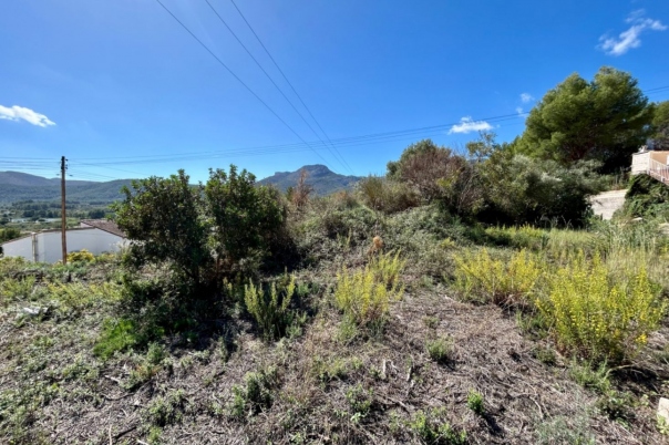 plot in Alcalalí