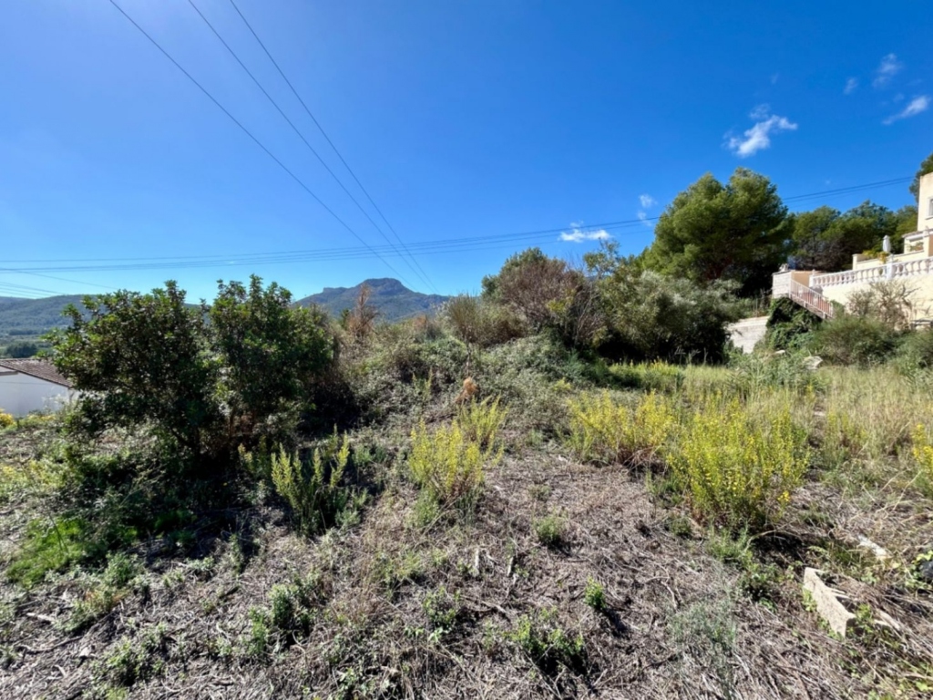 plot in Alcalalí
