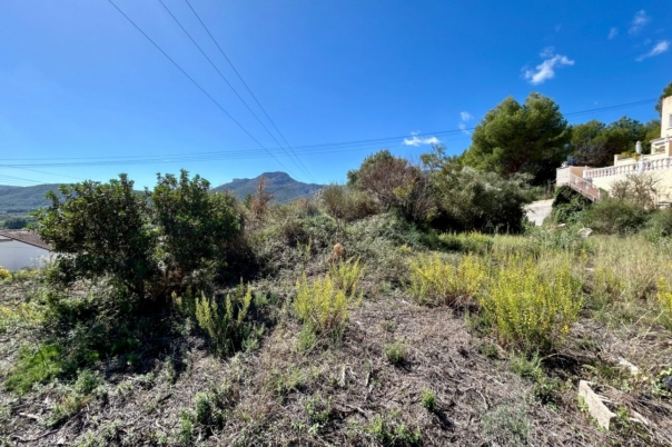 plot in Alcalalí