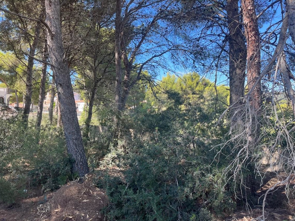 plot in Benissa