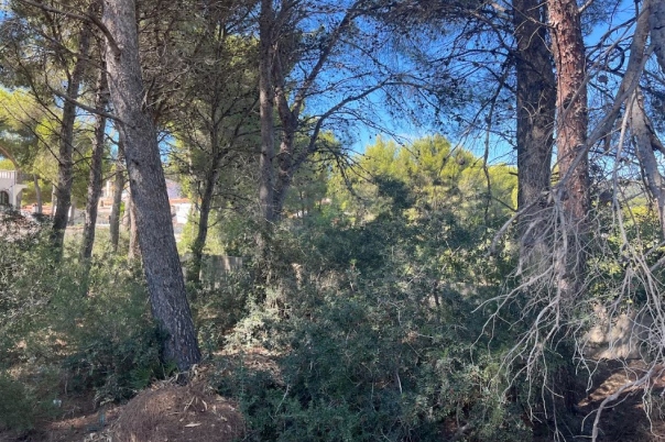plot in Benissa