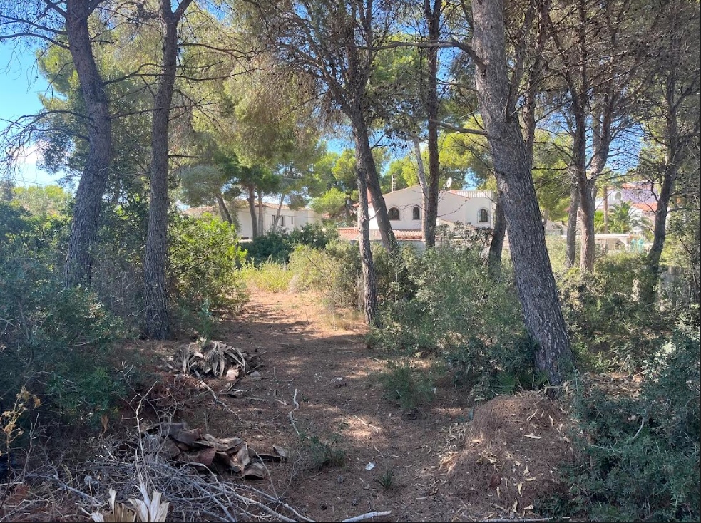 plot in Benissa