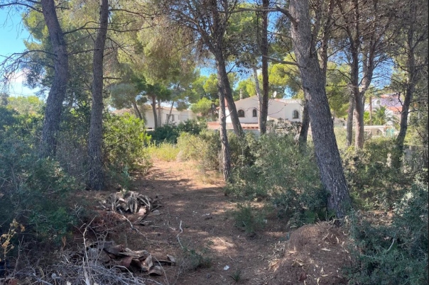 plot in Benissa
