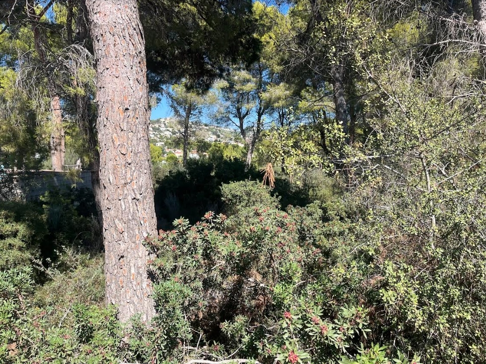 plot in Benissa