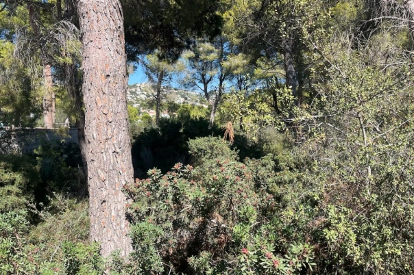 plot in Benissa