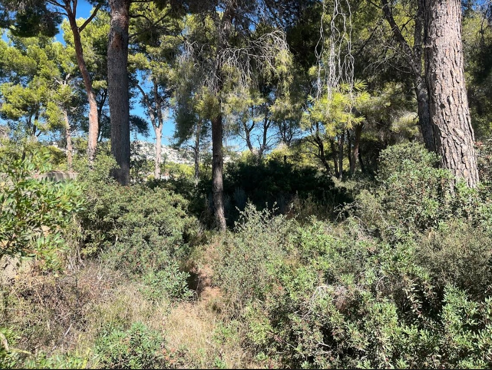 plot in Benissa