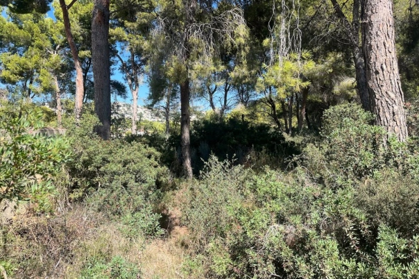 plot in Benissa