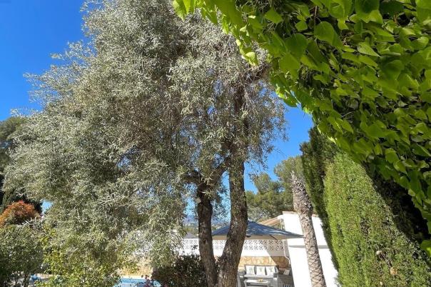 4 bed villas in Moraira