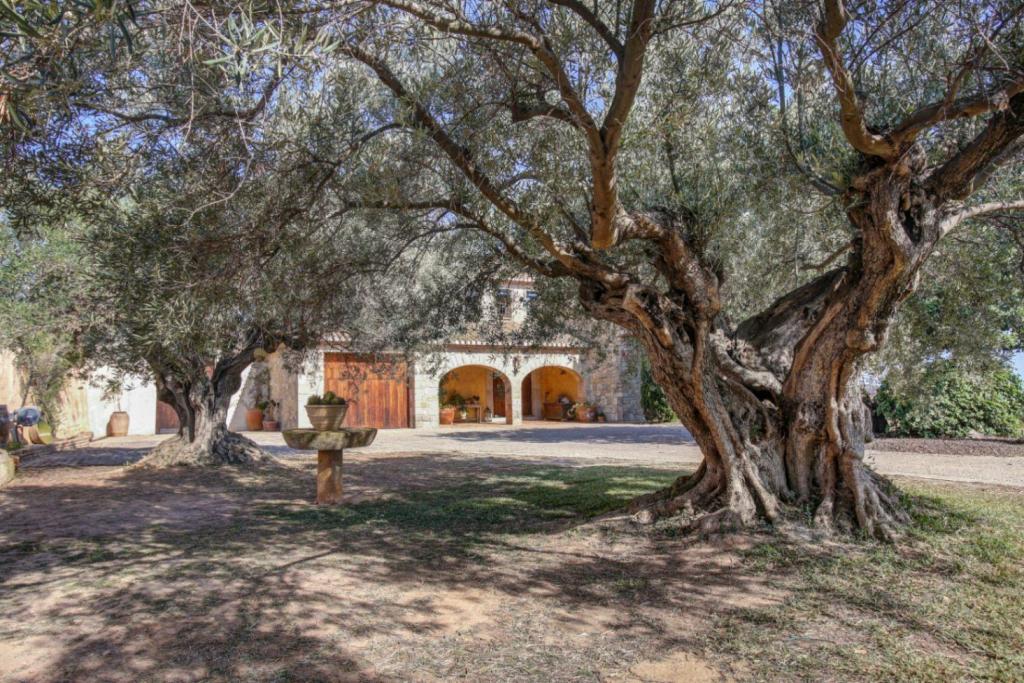 4 bed country houses - fincas in Moraira
