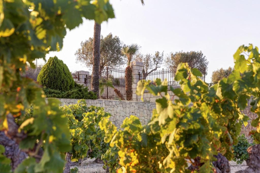 4 bed country houses - fincas in Moraira