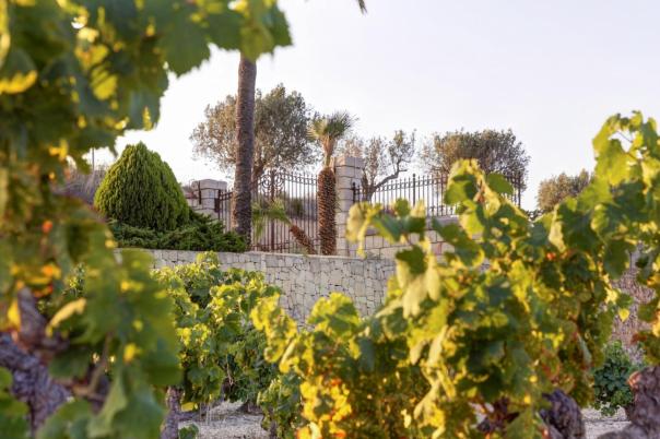 4 bed country houses - fincas in Moraira