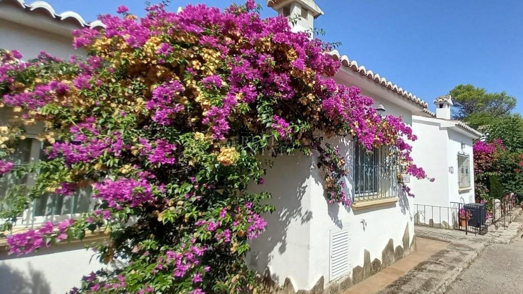 2 bed villa in Murla