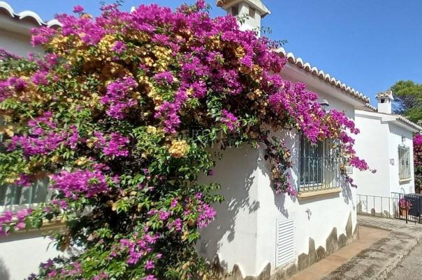 2 bed villa in Murla