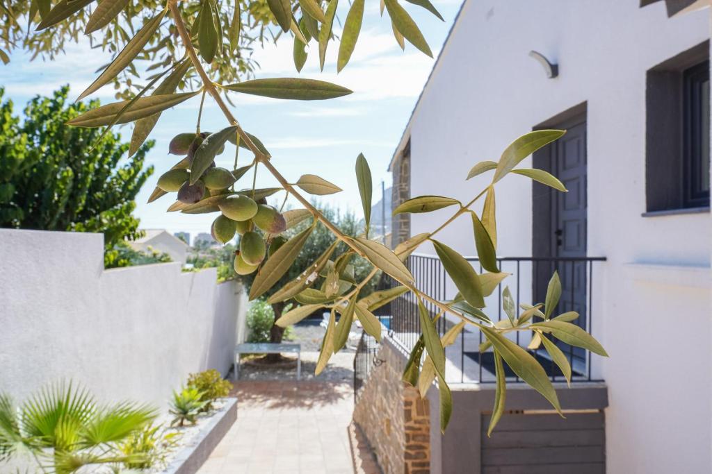 5 bed villa in Calpe