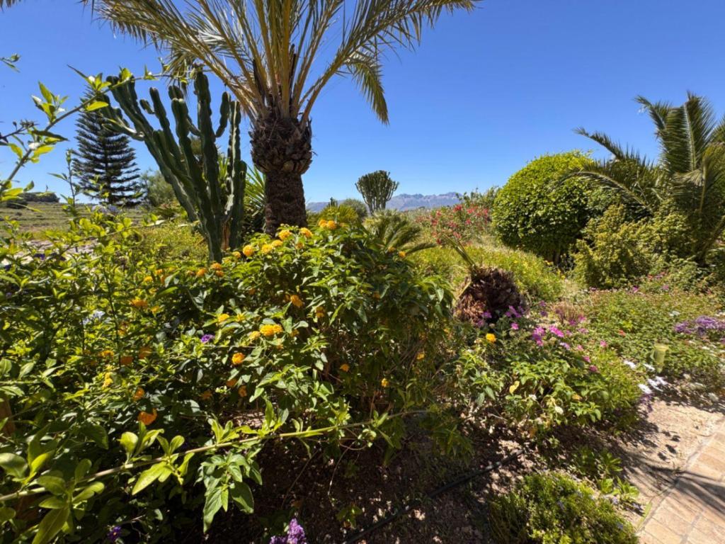 3 bed finca in Benissa