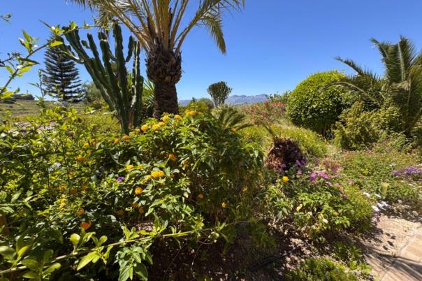 3 bed finca in Benissa