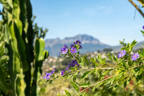 3 bed finca in Benissa