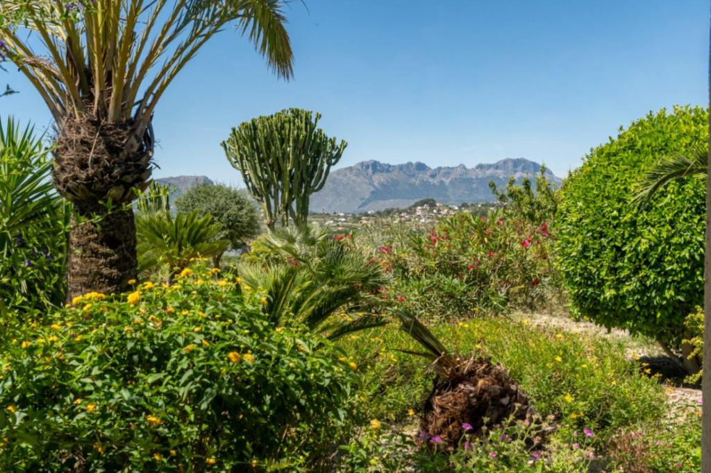 3 bed finca in Benissa