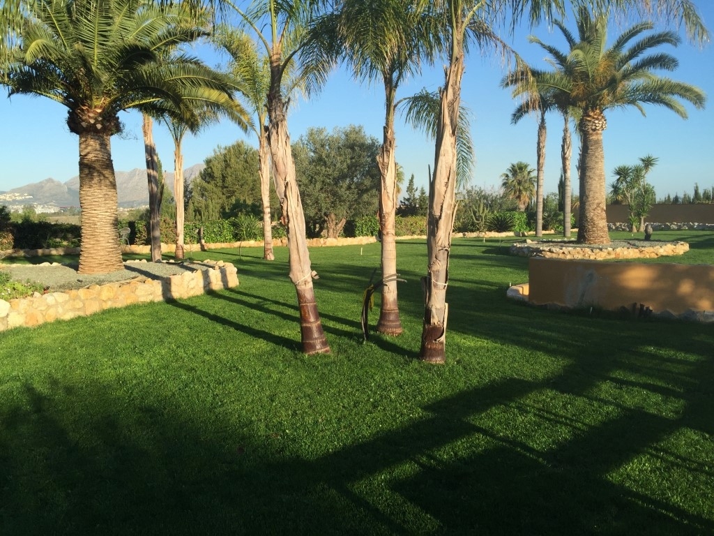 5 bed villa in Pedreguer