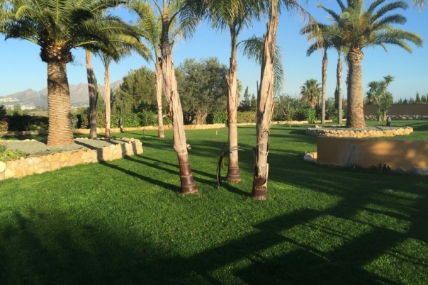 5 bed villa in Pedreguer