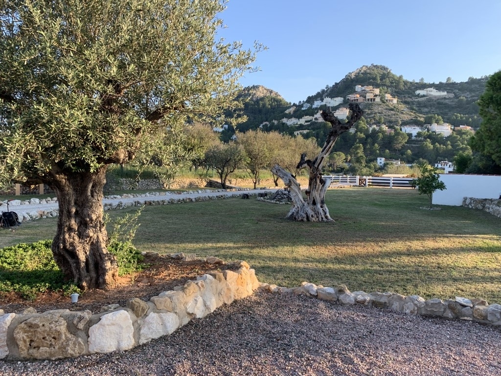 5 bed villa in Pedreguer