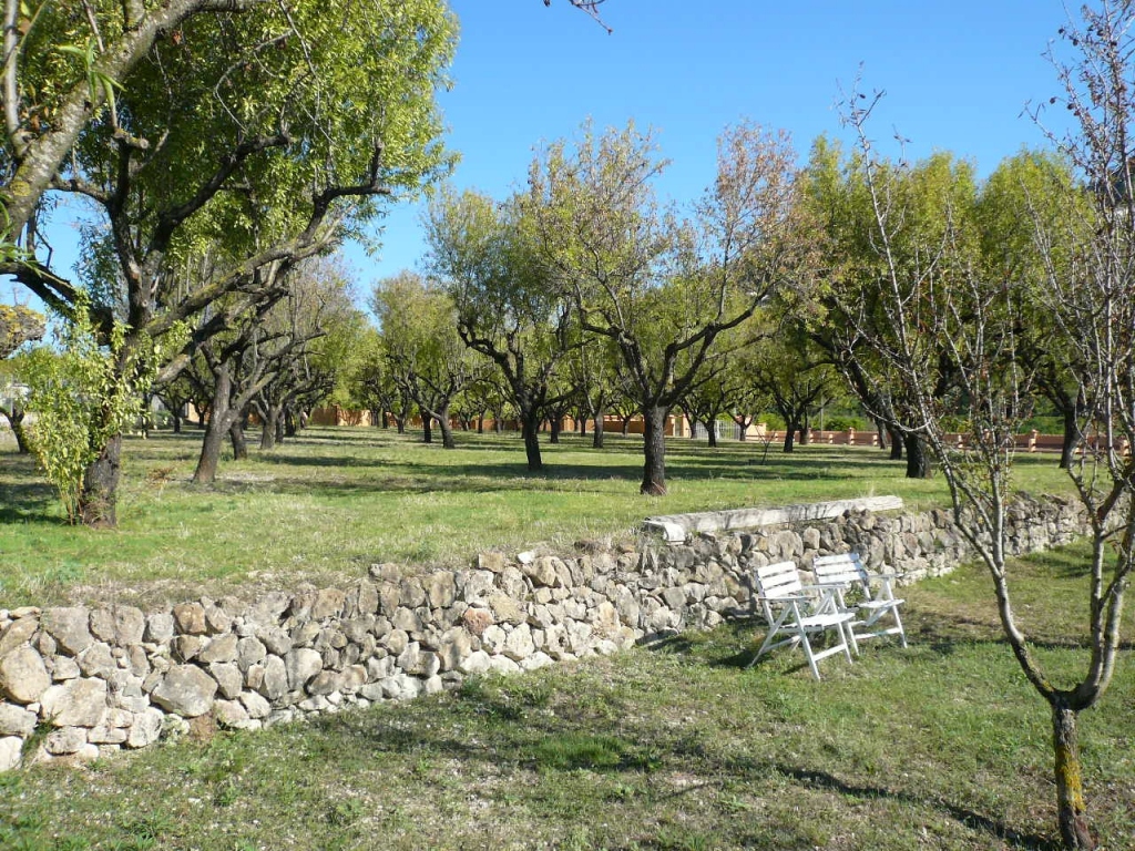 5 bed villa in Pedreguer