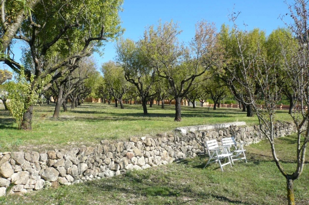 5 bed villa in Pedreguer