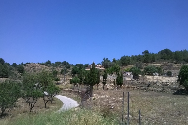 plot in Benissa