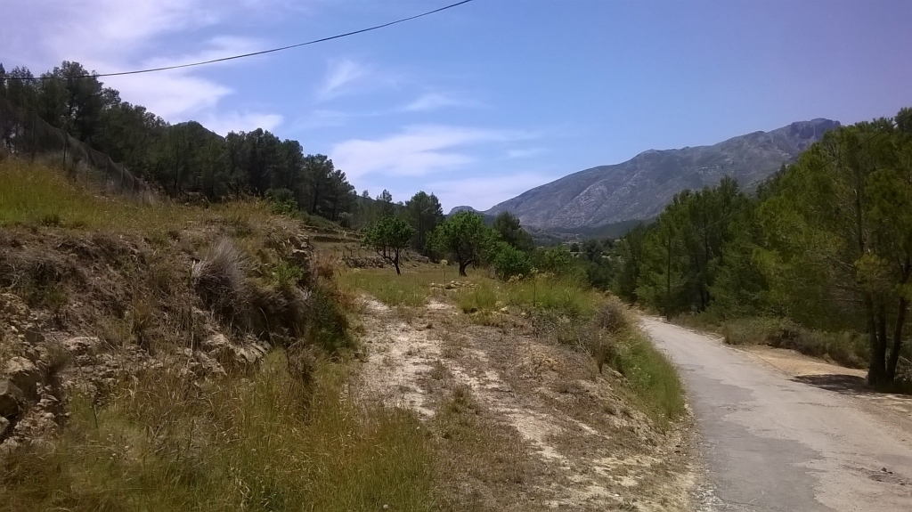 plot in Benissa