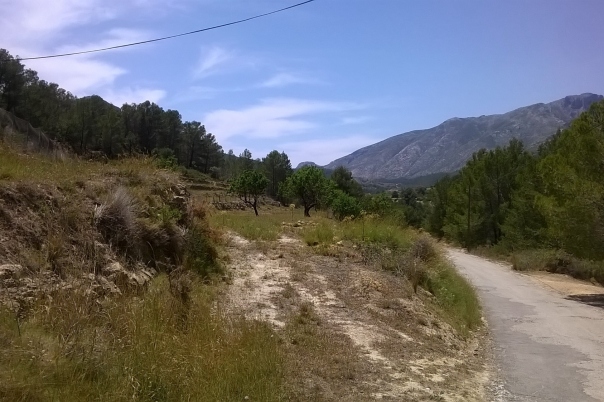 plot in Benissa