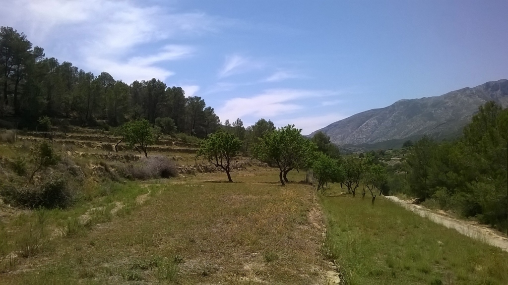 plot in Benissa
