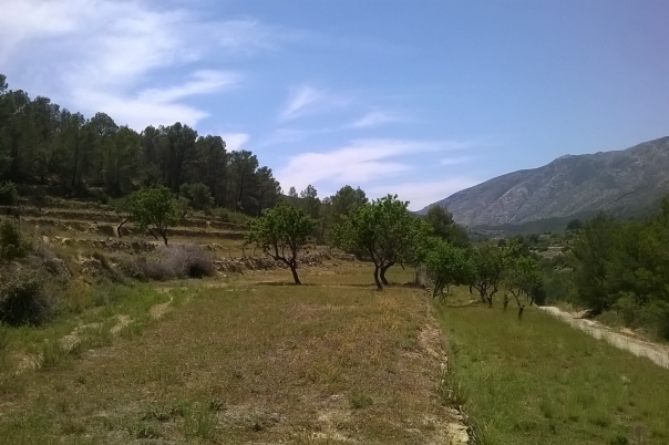 plot in Benissa
