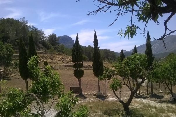 plot in Benissa