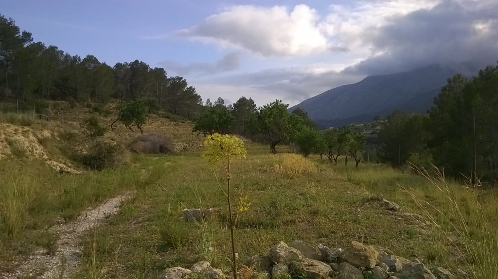 plot in Benissa