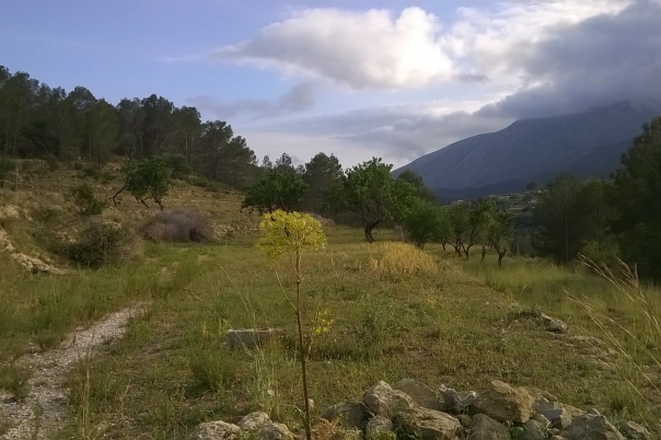 plot in Benissa