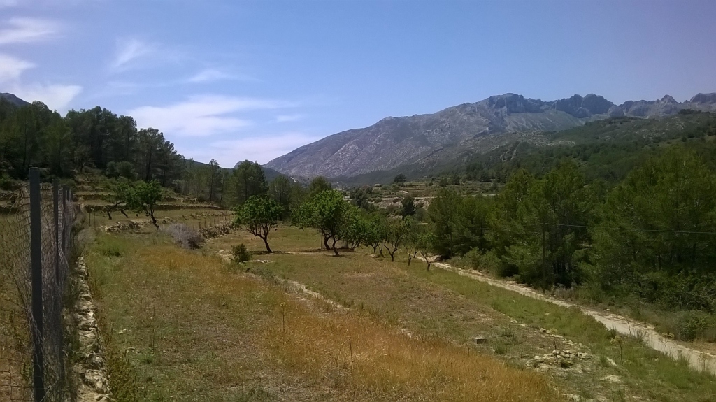 plot in Benissa