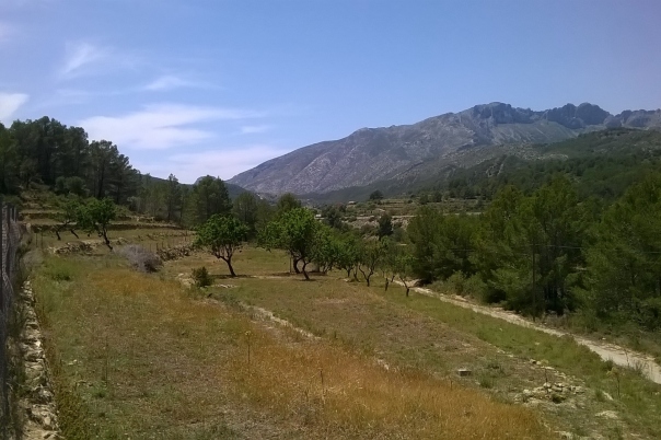 plot in Benissa