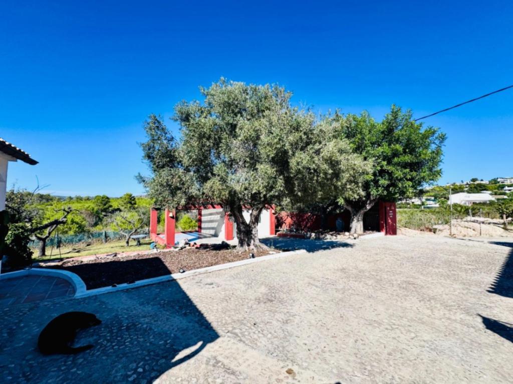 3 bed finca in Jávea