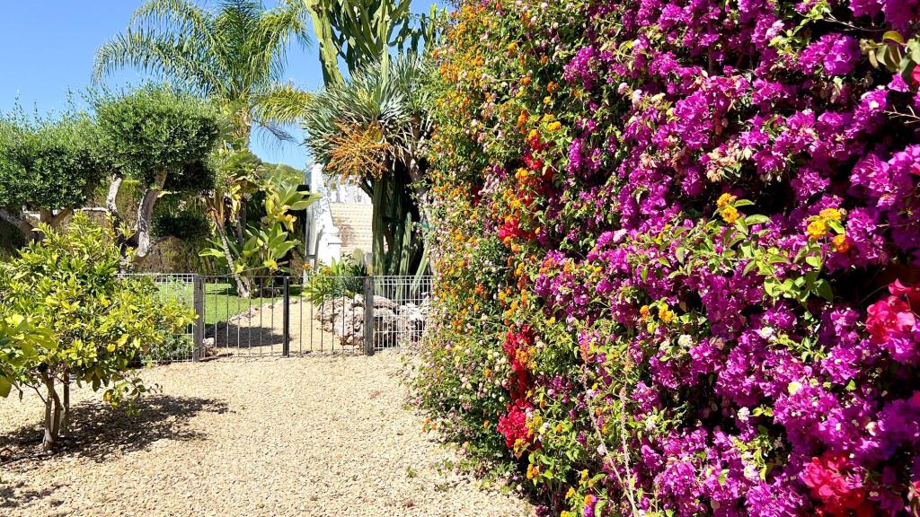 6 bed villa in Moraira