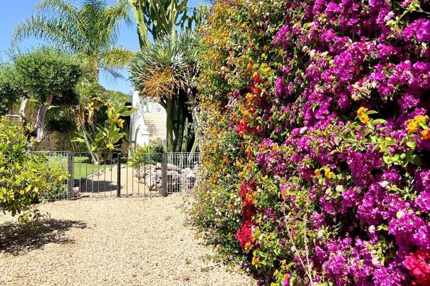 6 bed villa in Moraira