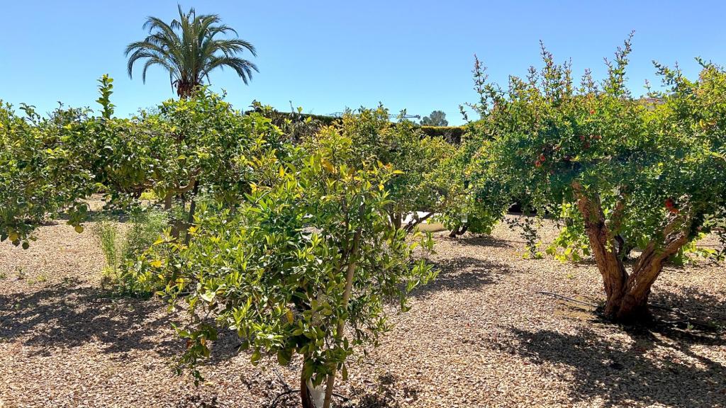 6 bed villa in Moraira