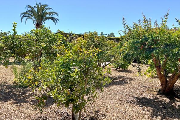 6 bed villa in Moraira