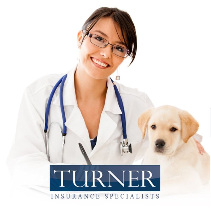 Turner Insurance Specialists - Insurance Company Javea
