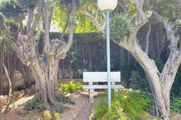 2 bed apartamento in Calpe / Calp
