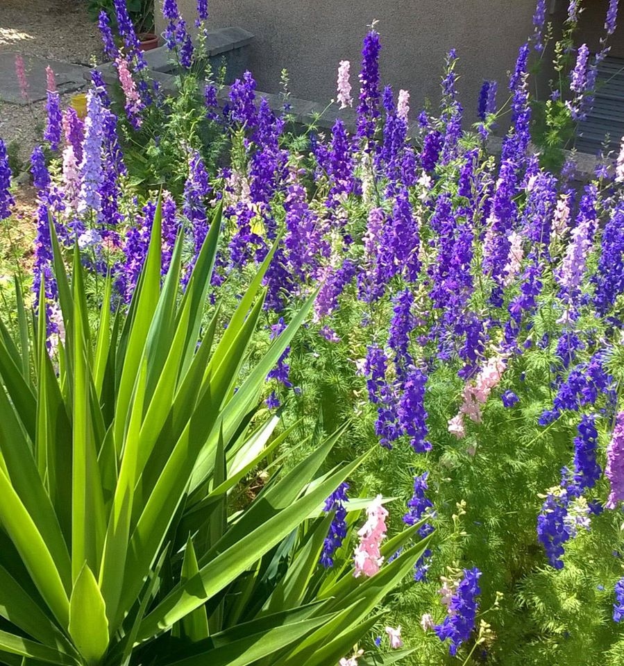 Charlesworth Gardens - Landscape Gardening & Garden Design