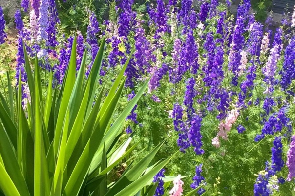 Charlesworth Gardens - Landscape Gardening & Garden Design