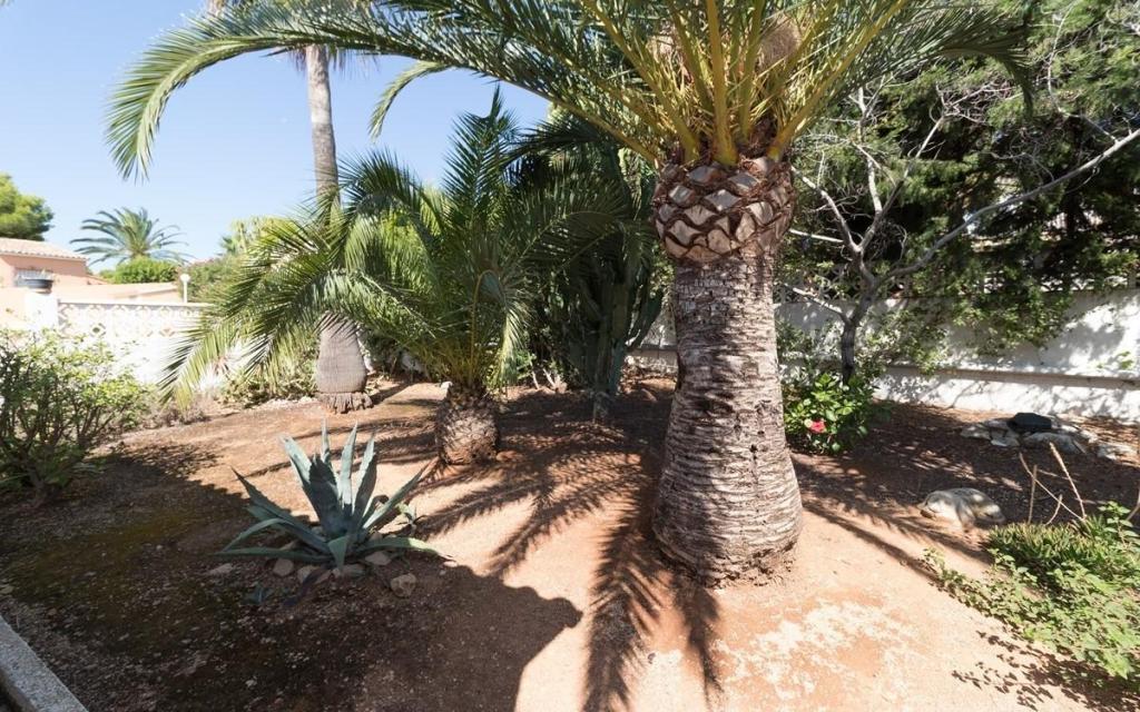 3 bed villas in Moraira